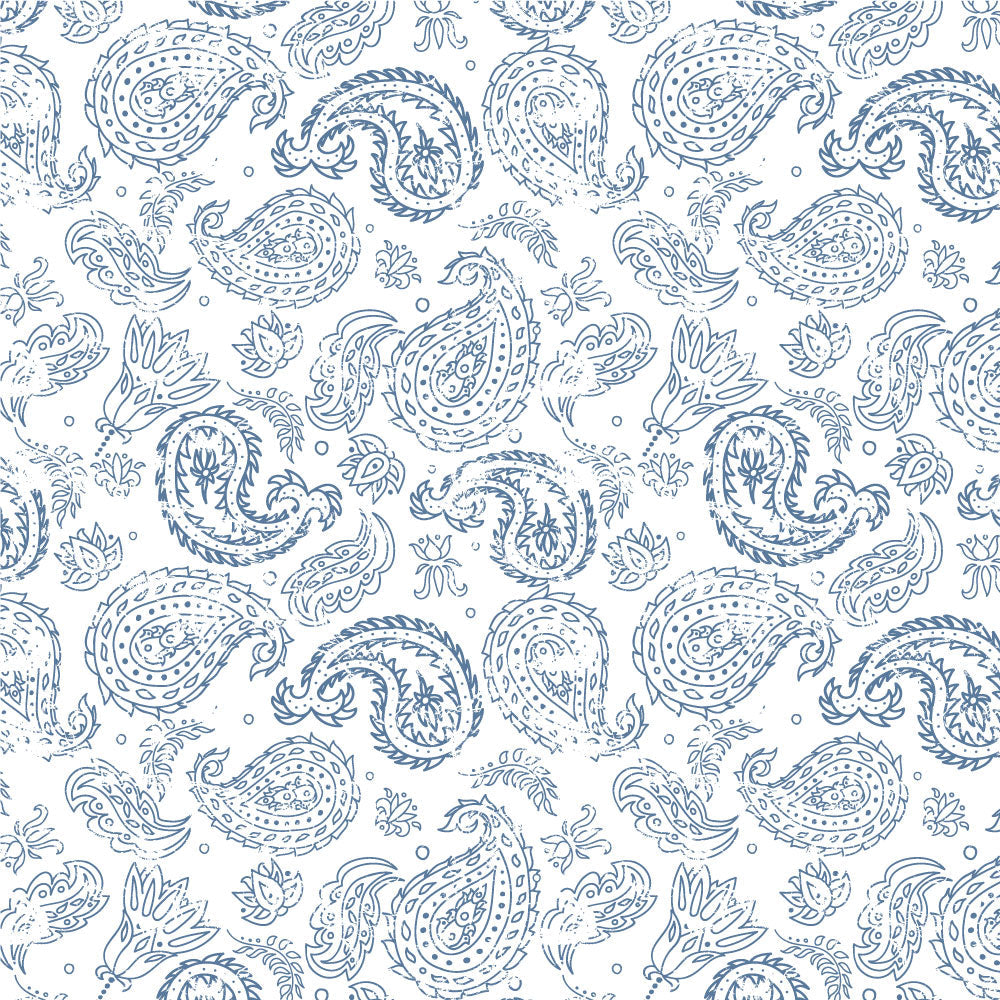 Coarse Paisley Pattern 3-Piece Duvet Cover Set